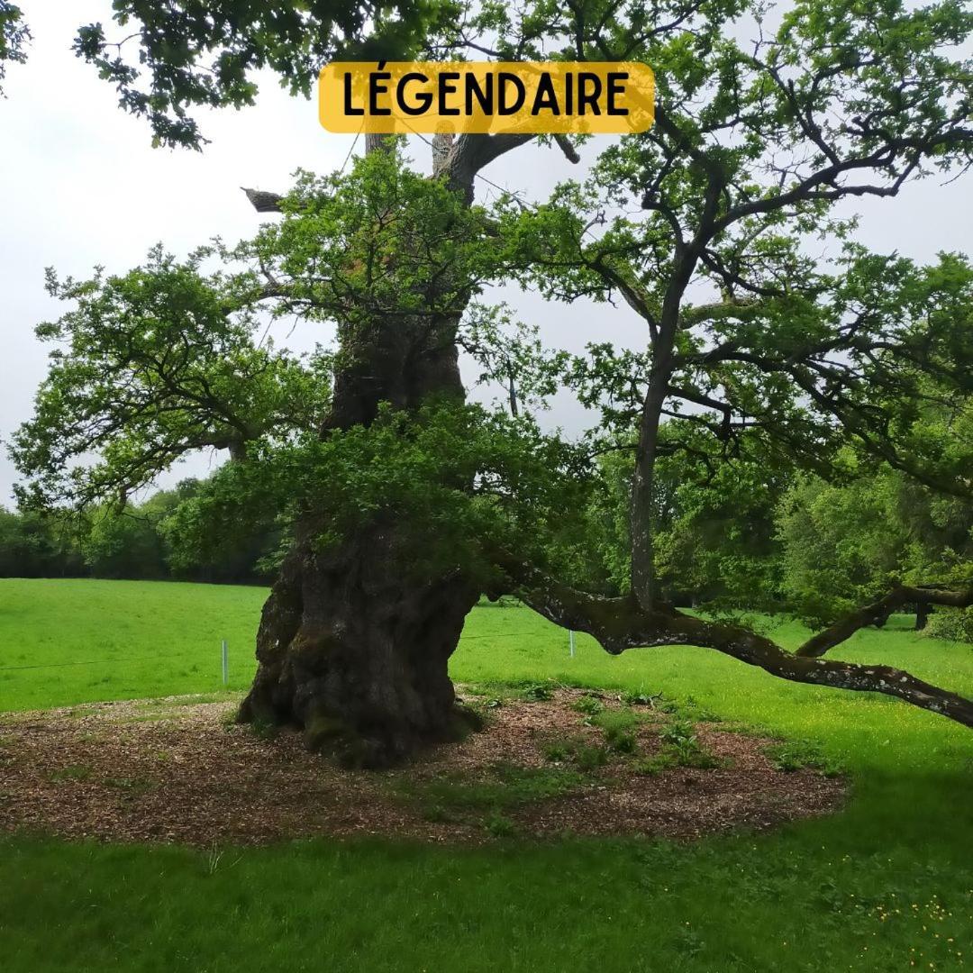 Camping Le Val Aux Fees - Broceliande Concoret Extérieur photo